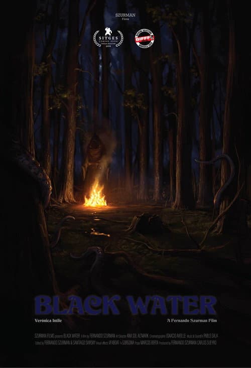 Black Water poster