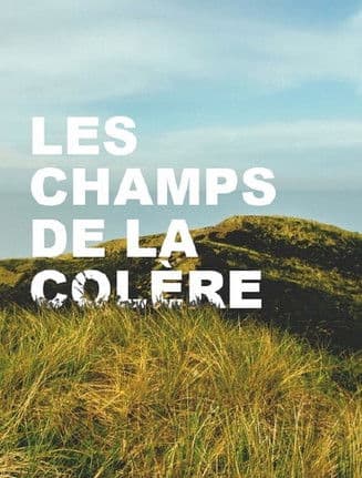 Les Champs de la colère poster