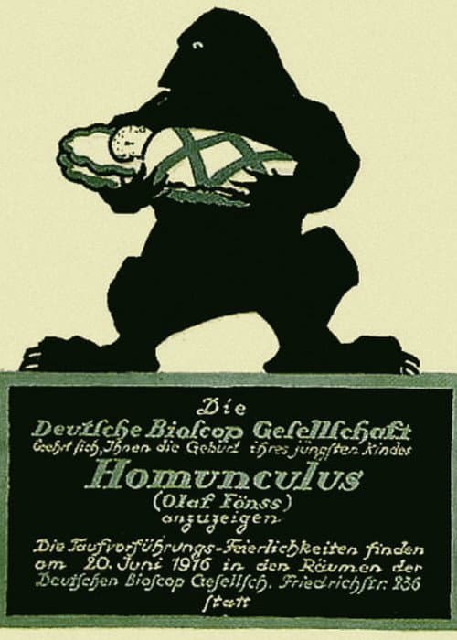 The Love Tragedy of the Homunculus poster