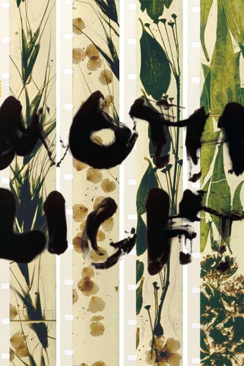 Mothlight poster