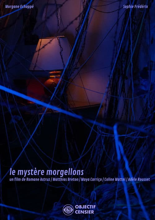 The Mystery of Morgellons poster