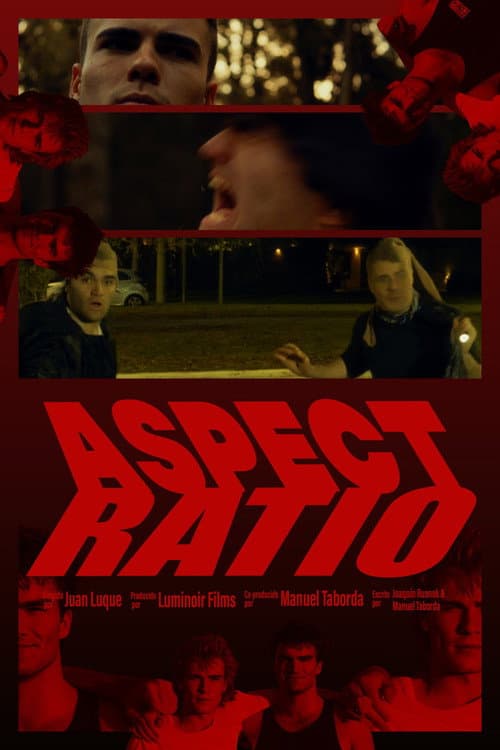 Aspect Ratio poster