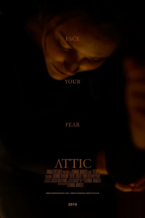Attic poster