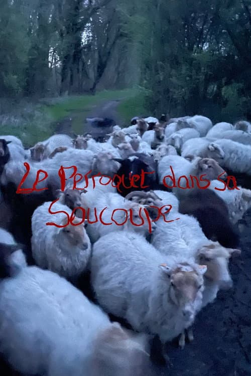 Le Perroquet dans sa Soucoupe (Short Version) poster