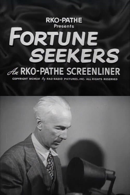 Fortune Seekers poster