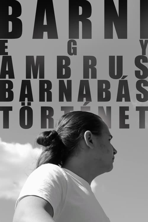 BARNI: A Barnabás Ambrus Story poster