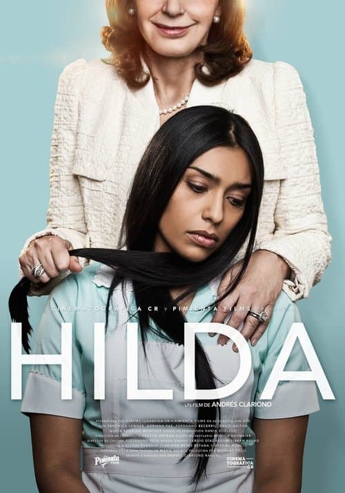 I've Never Had A Hilda poster