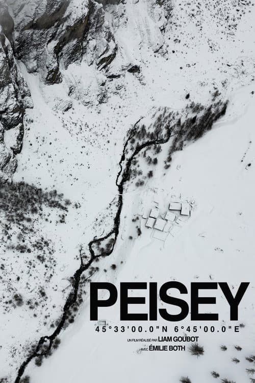 PEISEY poster