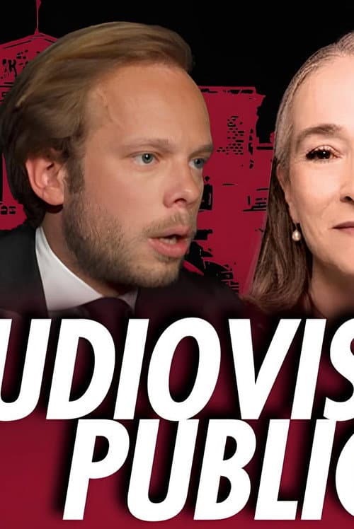 Audiovisuel public : Les secrets d'une commission d'enquête poster