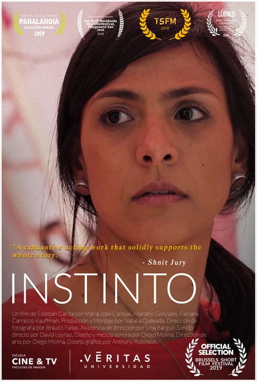 Instinto poster