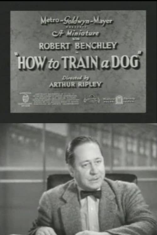 How to Train a Dog poster
