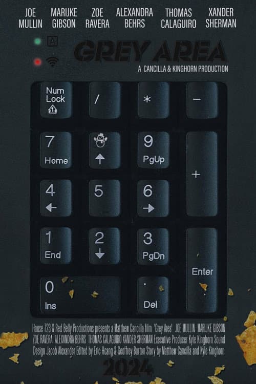 Grey Area poster