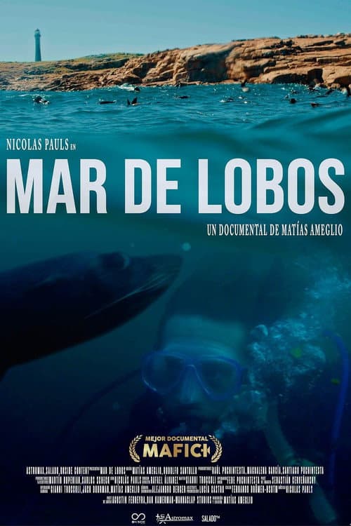 Sea of Lions poster