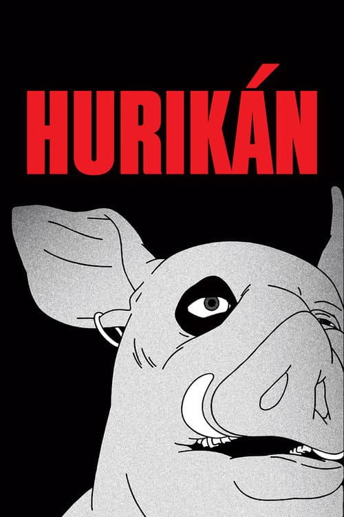 Huricane poster