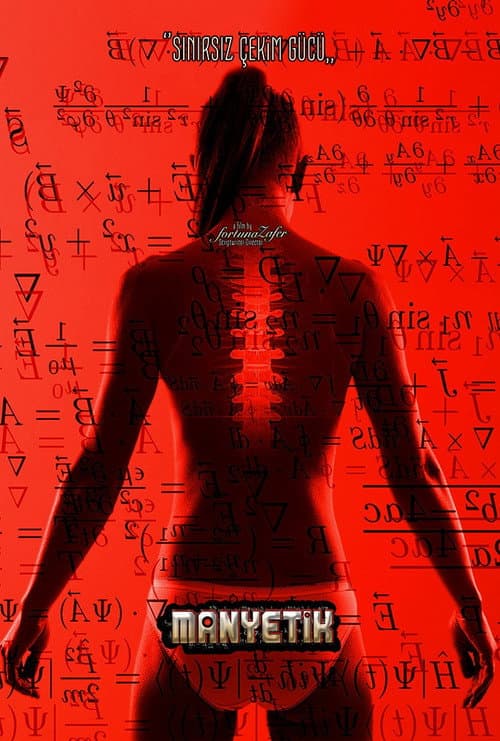 Manyetik poster