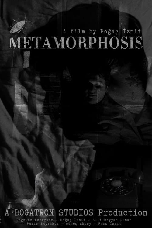 METAMORPHOSIS poster