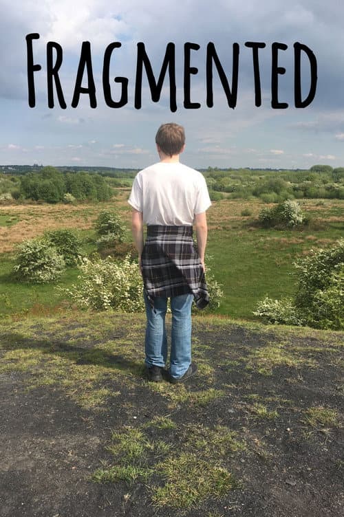 Fragmented poster