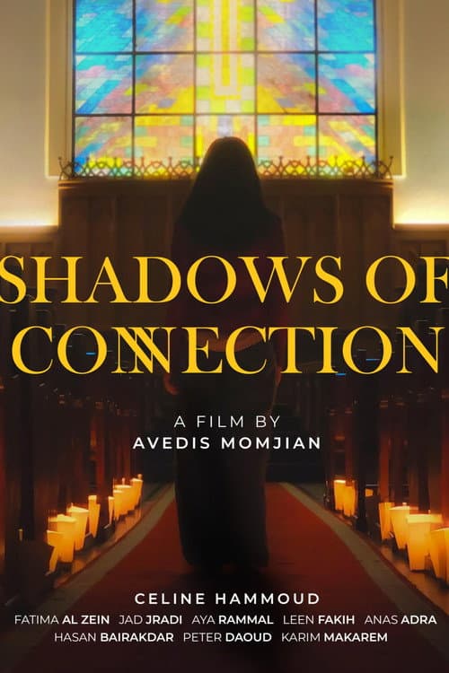 Shadows of Connection poster