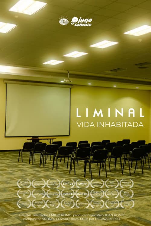 LIMINAL poster