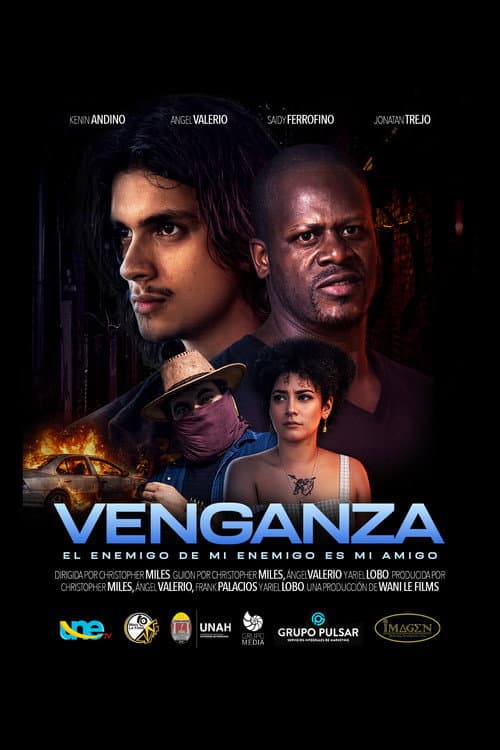 Venganza poster