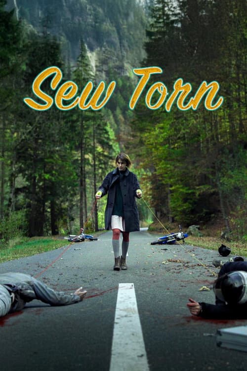 Sew Torn poster