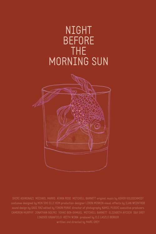 Night Before the Morning Sun poster
