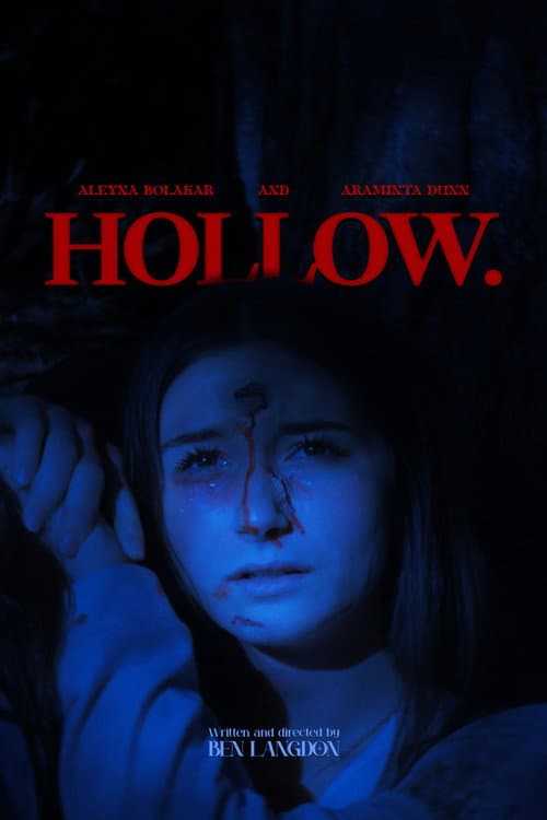 HOLLOW. poster
