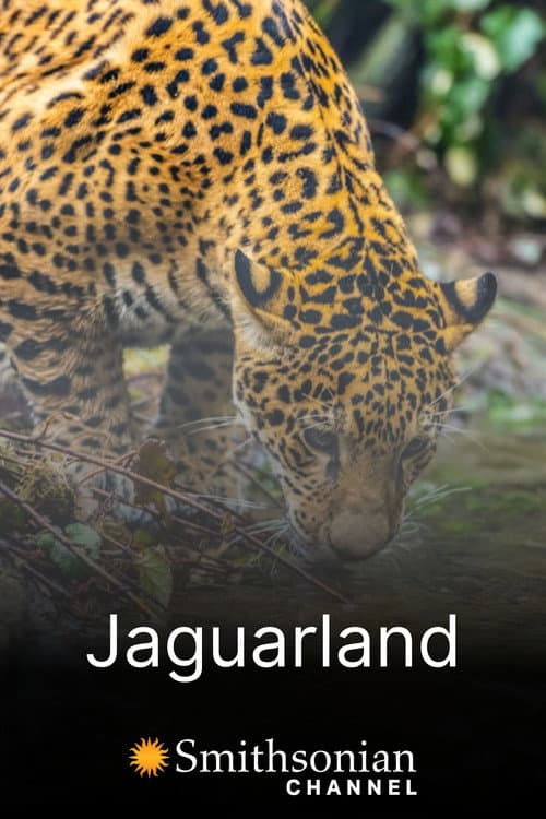 Jaguarland poster