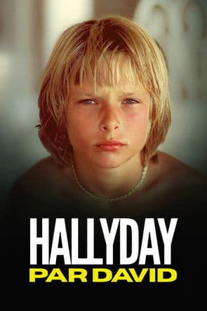 Hallyday par David poster