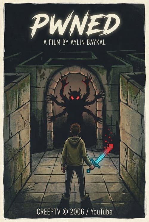 PWNED poster