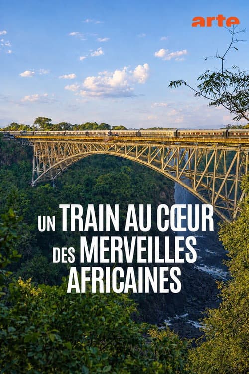 Un train au cœur des merveilles africaines : De Dar es Salam aux chutes Victoria poster
