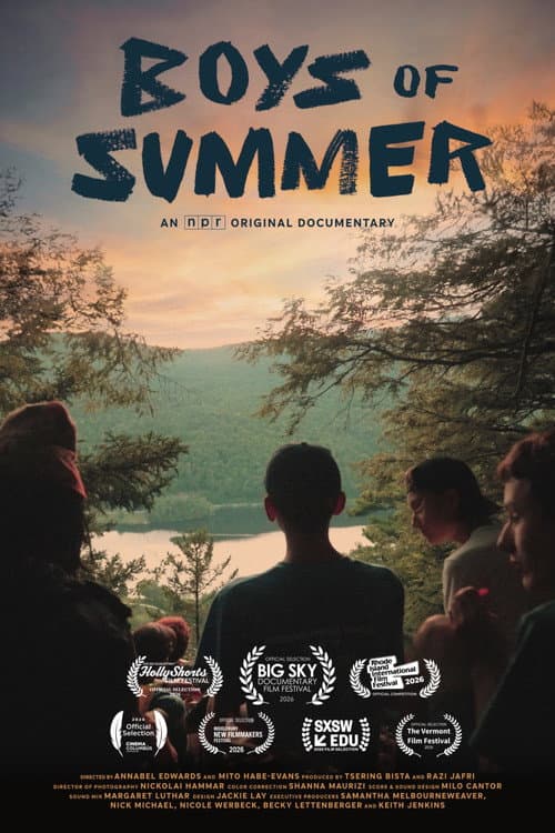Boys of Summer poster