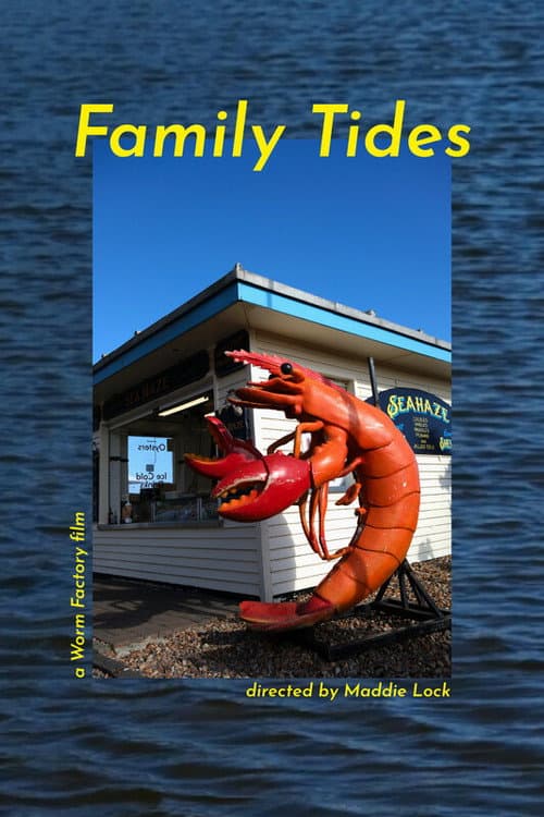 Family Tides poster