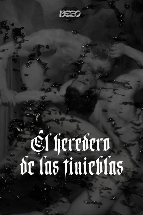 El heredero de las tinieblas poster
