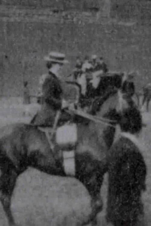 Ladies' Saddle Horses poster