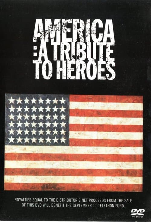 America: A Tribute to Heroes poster