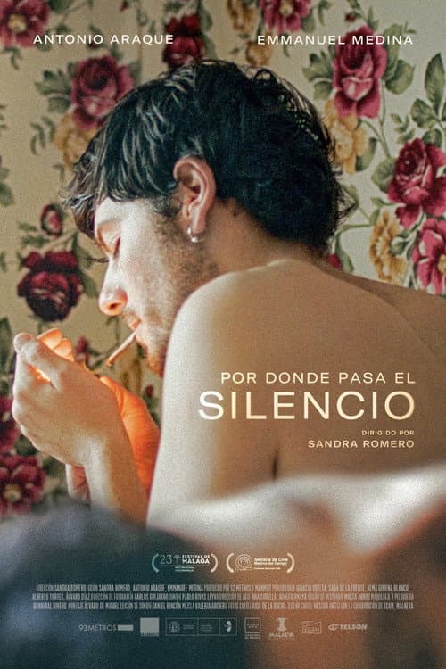 Where the Silence Passes poster