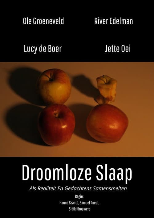 Droomloze Slaap poster