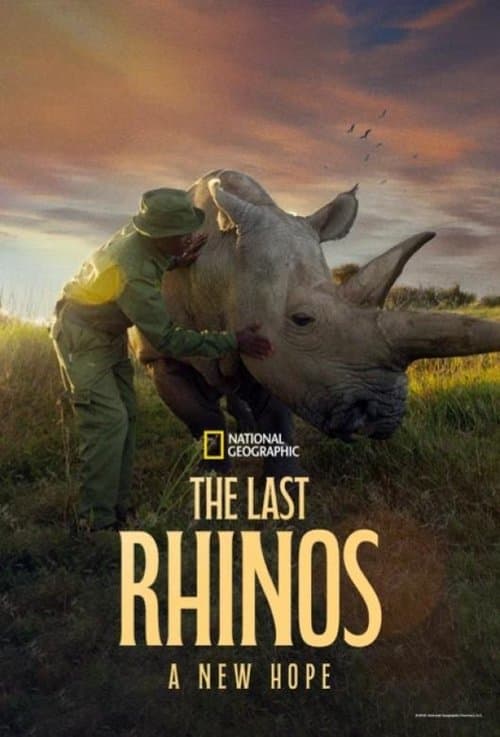 The Last Rhinos: A New Hope poster