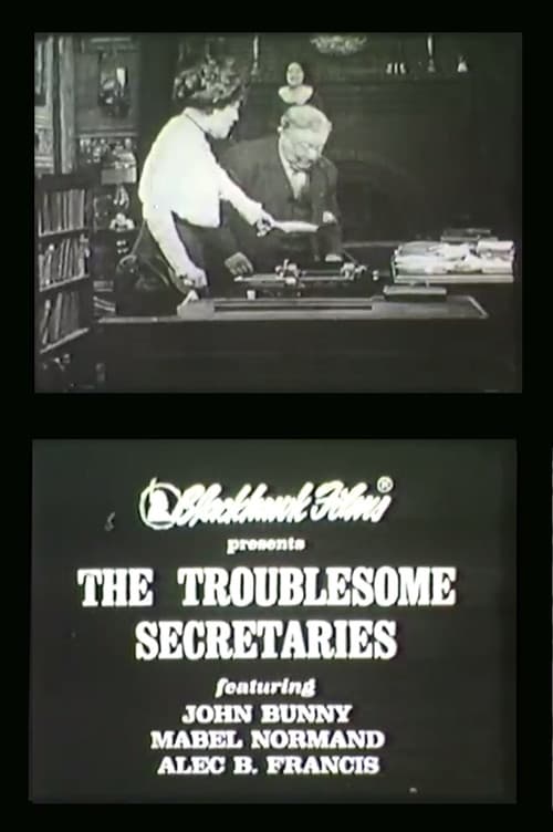Troublesome Secretaries poster