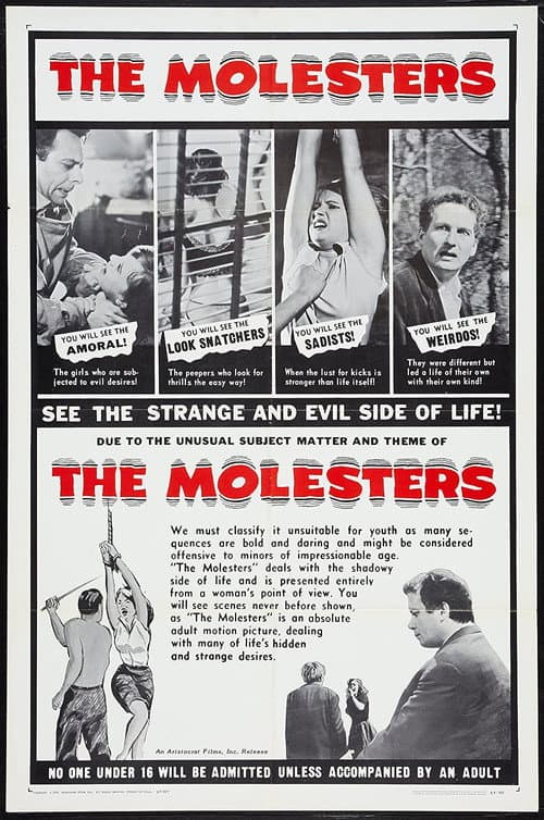 The Molesters poster