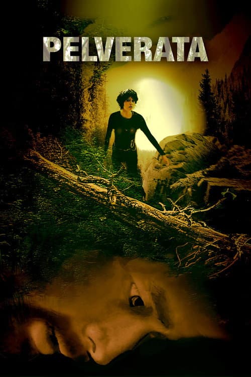 Pelverata poster