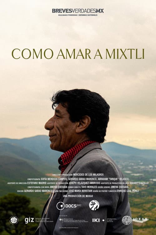 Como amar a mixtli poster