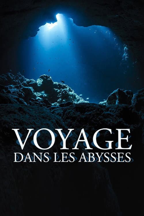 Voyage dans les abysses poster