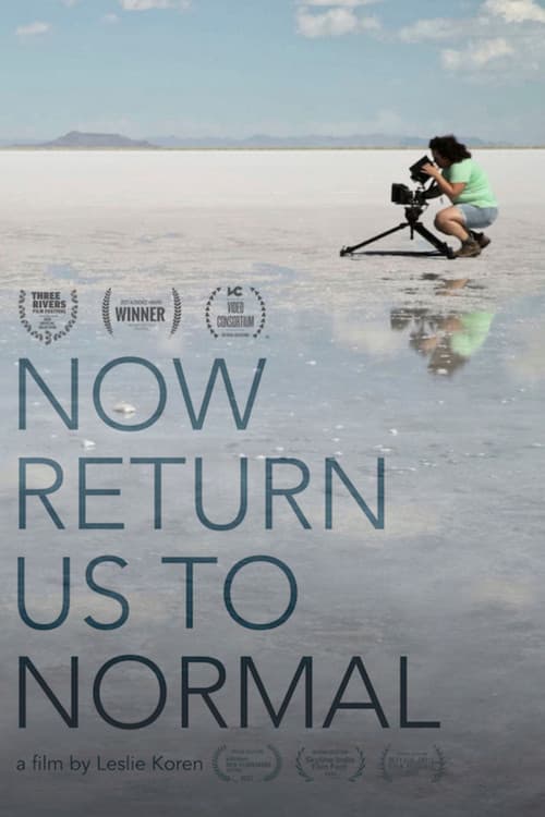 Now Return Us To Normal poster