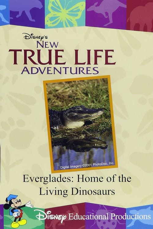 Everglades: Home of the Living Dinosaurs poster