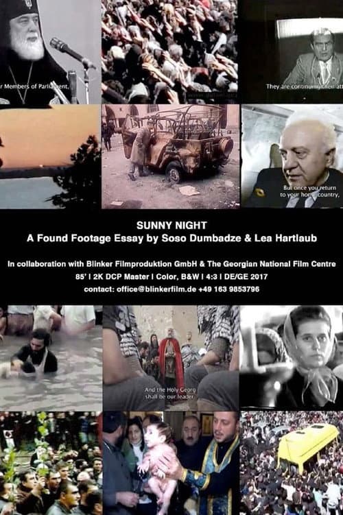 Sunny Night poster