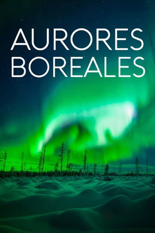 Revontulien armoilla poster