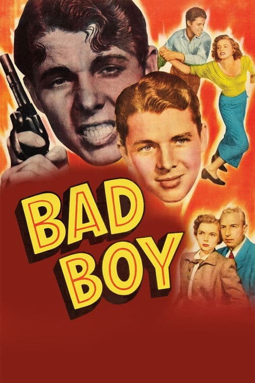 Bad Boy poster