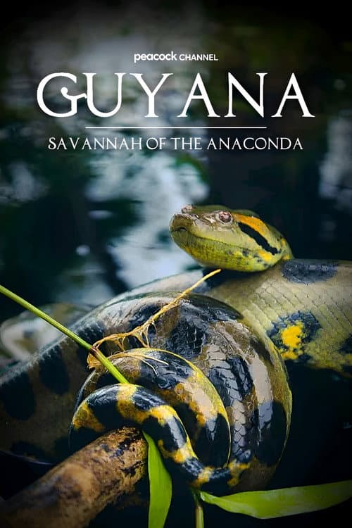 Guyana: Savannah Of The Anaconda poster